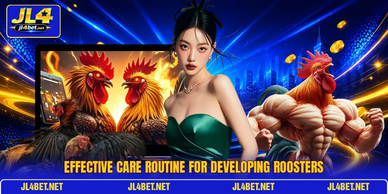 Effective care routine for developing roosters