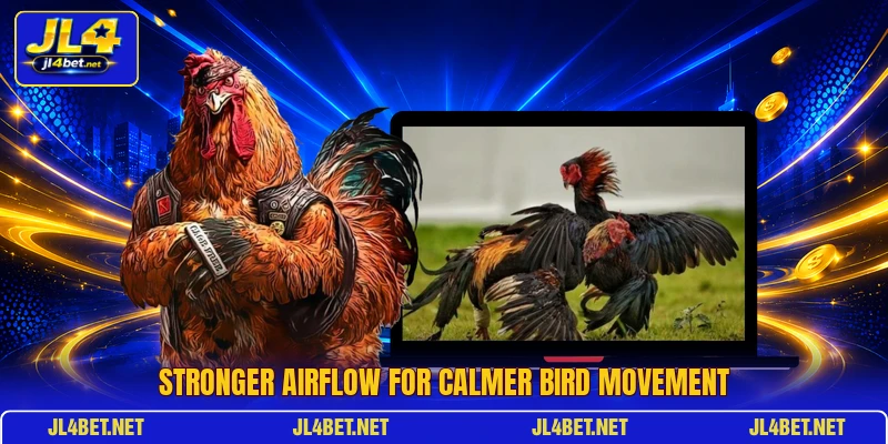 Stronger airflow for calmer bird movement